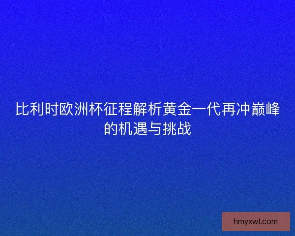 比利时欧洲杯征程解析黄金一代再冲巅峰的机遇与挑战