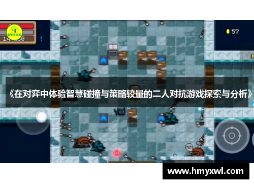 《在对弈中体验智慧碰撞与策略较量的二人对抗游戏探索与分析》