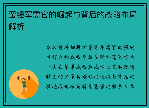 蛮锤军需官的崛起与背后的战略布局解析