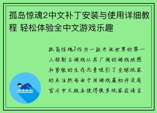 孤岛惊魂2中文补丁安装与使用详细教程 轻松体验全中文游戏乐趣